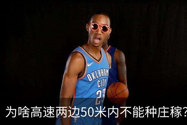 为啥高速两边50米内不能种庄稼？种出来的大米你可能不敢吃