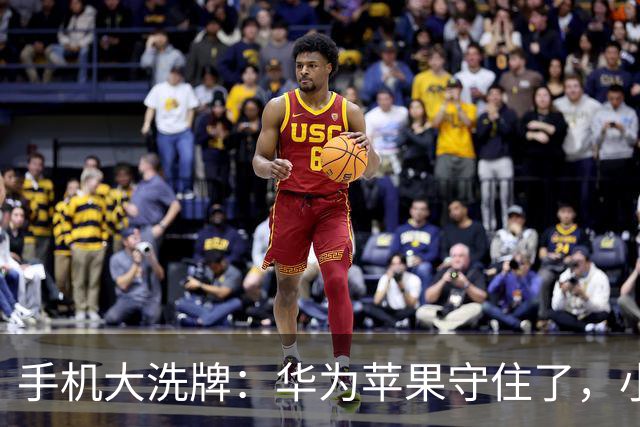 手机大洗牌：华为苹果守住了，小米OV换打法