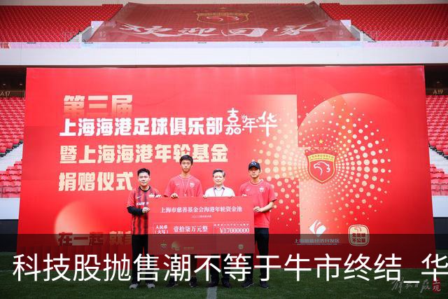 科技股抛售潮不等于牛市终结 华尔街策略师：基本面依然强劲 回调或是买入良机