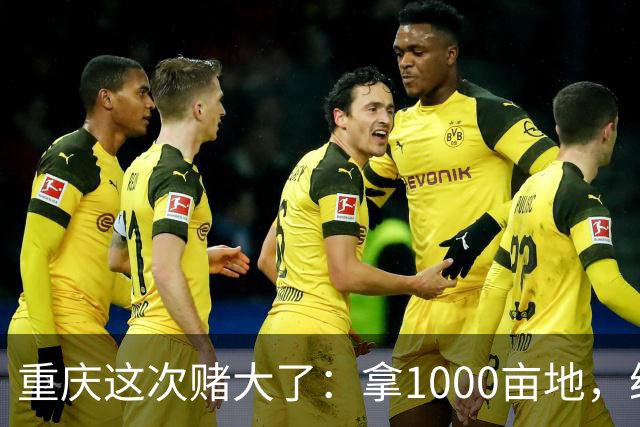 重庆这次赌大了：拿1000亩地，给无人机修所大学！
